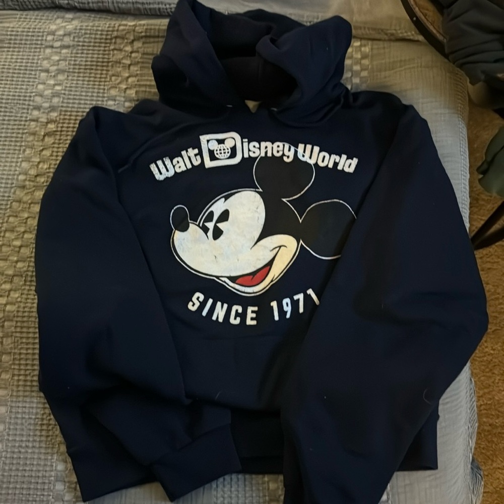 Walt Disney World Mickey Mouse Hoodie